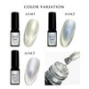 Reliable Japanese Magnetic Gel Super Shine Artist Gel Series Color