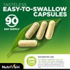 Nutrivein Whole Food Multivitamin | Complete Daily Vitamins & Minerals