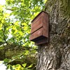Outer Trails Japanese Cedar Bat House Habitat: Two Chambers, Weatherproof,