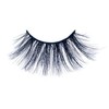 Remarkable Majestic Cat 3D False Lashes