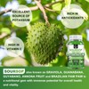 GORNVB (2 Pack) Soursop Graviola Gummies - 2200mg Extra Strength