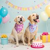 EXPAWLORER Dog Birthday Bandana - 4 Pack Party Supplies Dog