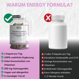 Ashwagandha Capsules High Dose | 100 Capsules | Multivitamin Tablets with Zinc, Biotin, Vitamin B5, B6, B12 | 1 Capsule per Day | Vegan | Laboratory Tested without Additives - Pentalium Pharma