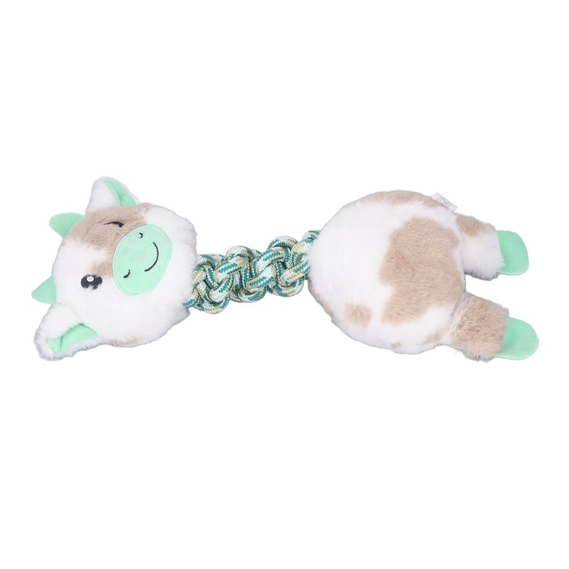 Pet Chewing Toy Bite Resistant Interactive Squeaky Pet Biting Toy