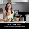 Slow Masticating Cold Press Juicer Machines for Fruit Vegetable, Juice