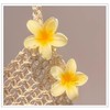Flower Hair Clips, Pack of 6 Beach Flowers Hair Clips,