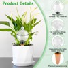 Coitak 4 PCS Plant Self Watering Globes with Covers, Brush,