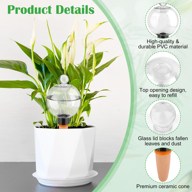 Coitak 4 PCS Plant Self Watering Globes with Covers, Brush,