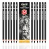 Aenir Charcoal Pencils for drawing, Set of 12, Charcoal Drawing
