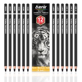 Aenir Charcoal Pencils for drawing, Set of 12, Charcoal Drawing Pencils (S-Soft, Soft, Medium, Hard), Art Supplies for Artist, Sketching, Shading
