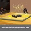 ZingZap 13-Pack Mouse & Insect Glue Traps/Board, 3X Faster Catch