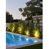 LEONLITE 12V AC/DC Low Voltage LED Landscape Spotlight with Replaceable