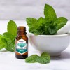ARO+ Aceite Esencial de Menta Natural Puro Aromaterapia