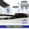 V-belt washing machine Poly-V 1255 EPJ 5 with the original