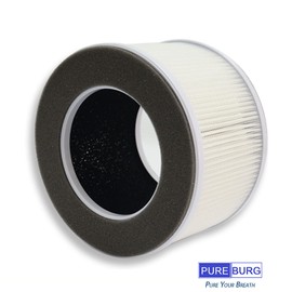 PUREBURG Replacement Filter Compatible with Greenote AP10 Air Purifier, Pack of 2 H13 HEPA 3-Stage Filtration