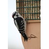 Kettle Moraine Cedar Single Cake Tail Prop Suet Bird Feeder