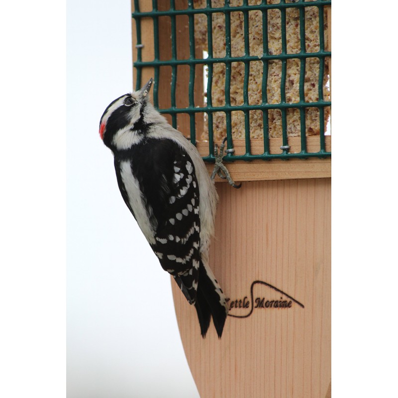 Kettle Moraine Cedar Single Cake Tail Prop Suet Bird Feeder