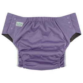 Pull On Cloth Diaper 2.0: Special Needs Teens and Adults Protective Briefs for Incontinence or Bedwetting (Large, Mauve)