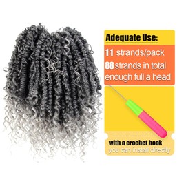 SERENDIPA Goddess Passion Twist Hair with Curly End 10 Inch Short Pre-Looped Boho Style Crochet Braids Pre-twisted (8 Packs, TGrey)