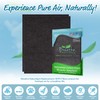 Breathe Naturally - Premium Carbon Filter Replacements Compatible with BlueAir