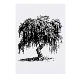 Azeeda 'Alte Weide' Temporäres Tattoo - Hautfreundlicher & Ungiftiger Abziehbild · Wasserfest (TO00077061)