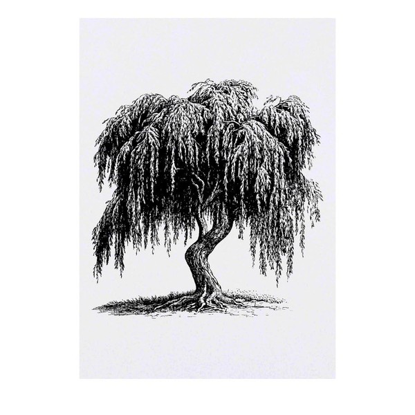 Azeeda 'Alte Weide' Temporäres Tattoo - Hautfreundlicher & Ungiftiger Abziehbild