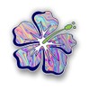Vinyl Junkie Graphics Hibiscus Flower sticker/decal (tye dye)