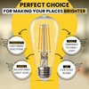 Halco 85145 - ST19CL8ANT/827/LED2 Edison Style Antique Filament LED Light