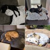Calming Dog Bed Fluffy Plush Dog Mat for Furniture Protector
