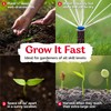 KVITER Grande Jumbo Extra Large Jalapeno Pepper Seeds"Ultimate Stuffer Pepper" - (100 Seeds)