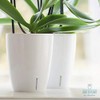 Santino 4.9 Inch ORCHIDEA Self Watering Pots for Orchids in