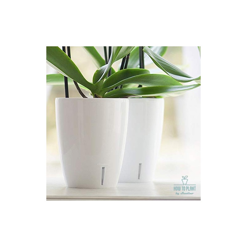 Santino 4.9 Inch ORCHIDEA Self Watering Pots for Orchids in