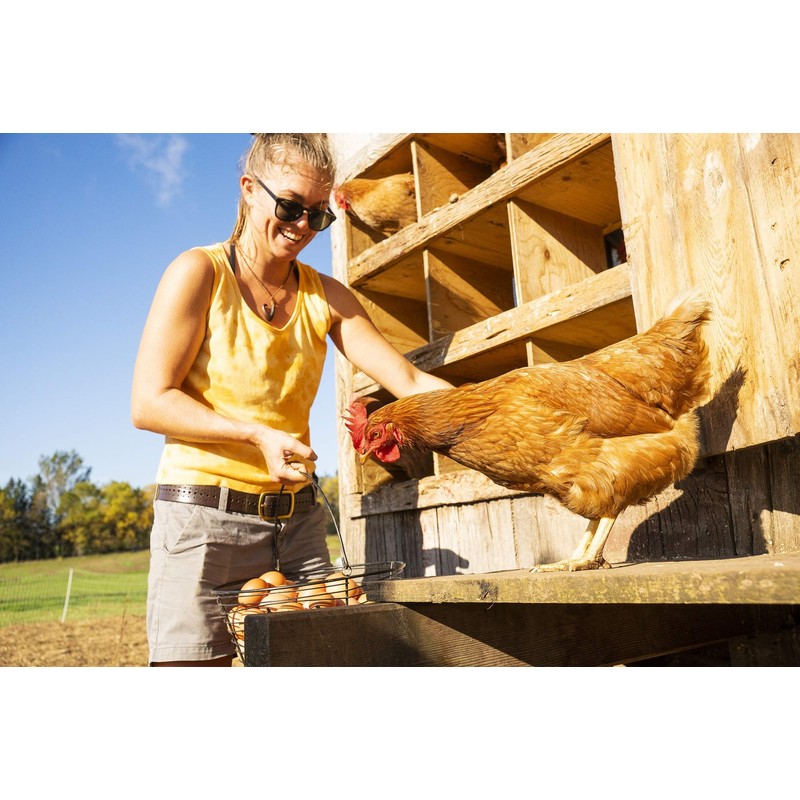 Eggcellent Update 2.2Lbs 95% More Calcium Than Mealworms, Non-GMO High