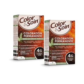 Color & Care 4G Golden Kastanienbraun | 30 Tage Haarfarbe, volle Deckkraft & lang anhaltender Glanz, getarnt, nährt & hydratisiert, für alle Haartypen, 2 x 135 ml