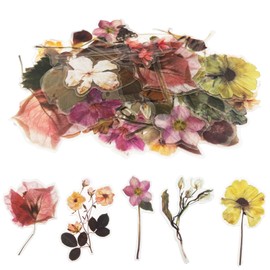 Transparent Flower Stickers for Scrapbooking PET Nature Plant Stickers Floral Stickers Vintage Craft Sticker Colorful Small Flower Sticker for Journaling Scrapbooking Clear Flower Decals(Style D)