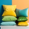 JUSPURBET Teal Green Velvet Throw Pillow Covers 55x55 CM Set