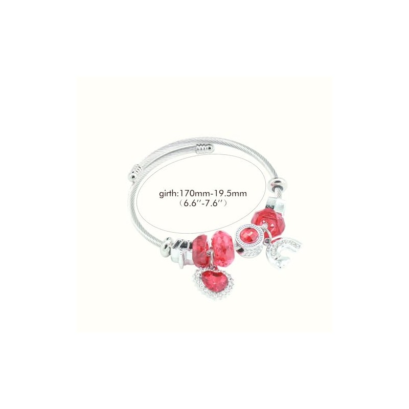 JASKFG Twisted Cable Bracelet with Red Crystals and Charms, Silver