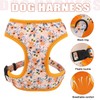 Beirui Cute Girl Dog Collars, Harnesses & Leashes Set -