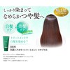 Sastty Rishiri Hair Color Treatment, Gloss Plus (Black) + Color