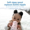 Dr. Brown's Wide-Neck Transitional Sippy Bottle with Silicone Handles 9
