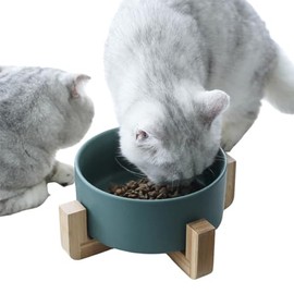 SELOVE Cuenco para Perros y Gatos de Gran Capacidad,Platos para Perro Y Gatos,Tazón para Perros y Gatos de Cerámica,Plato De Cerámica Comedero para Perros Y Gatos con Base De Bambú,850 ml/28oz(Verde)