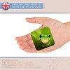 Destination Vinyl ltd Fridge Magnet - Green Tree Frog Jungle