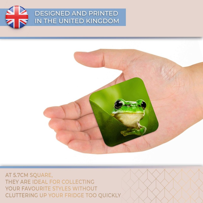 Destination Vinyl ltd Fridge Magnet - Green Tree Frog Jungle