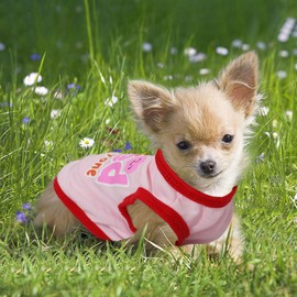 Puppy Clothes for Small Dogs Girl 4 Pieces Girl Dog Clothes Cute Soft Dog Shirts Female Doggie Shirts Pet Clothing (Medium)