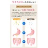 乳酸菌革命 5袋セット 健康いきいき倶楽部 [乳酸菌サプリメント 3大乳酸菌 ビフィズス菌 ラブレ菌 ガセリ菌 1袋で16種3兆個 有胞子性乳酸菌