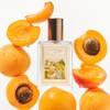 Atelier Pays apricot blossom 30ml / 아뜰리에페이 apricot blossom 30ml