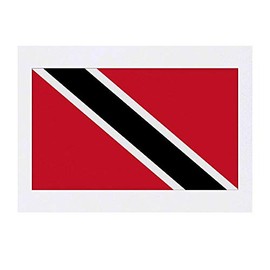 'Trinidad & Tobago Flag' Temporary Tattoo - Water Resistant, Skin-Safe, Non-Toxic Transfer (TO00031464)