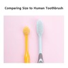 Gaeulhouse Tiny & Medium Dog Toothbrush - Soft Bristles, Excellent