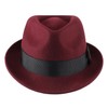 Decentron Men's Wool Felt Winter Hat Short Brim Fedora Hat
