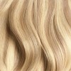 Dirty Blonde Highlights Single Hair Color Sample